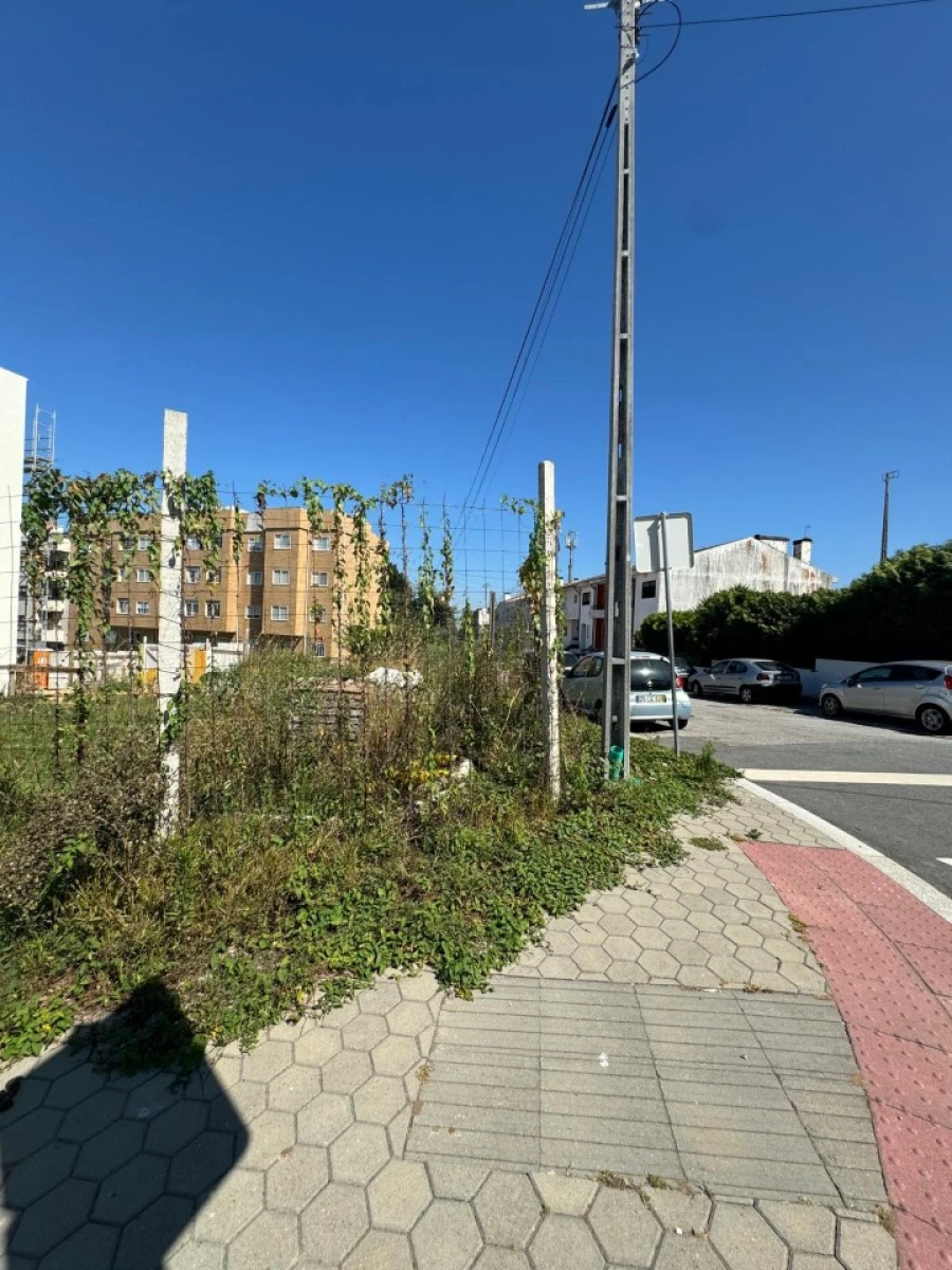 Terreno para Venda em Oliveira do Douro Foto 16