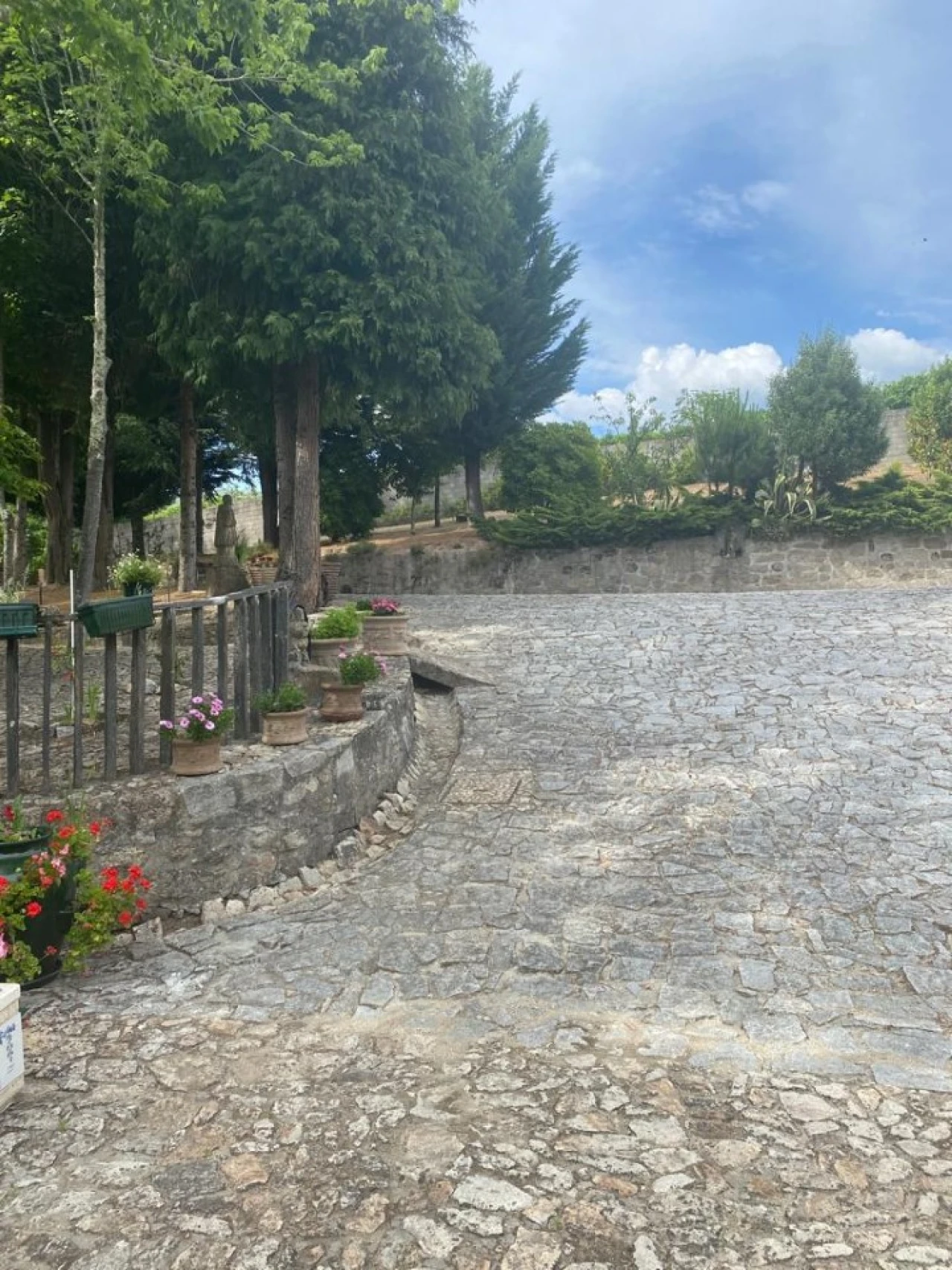 Quinta para Venda em Santa Marinha do Zezere Foto 7