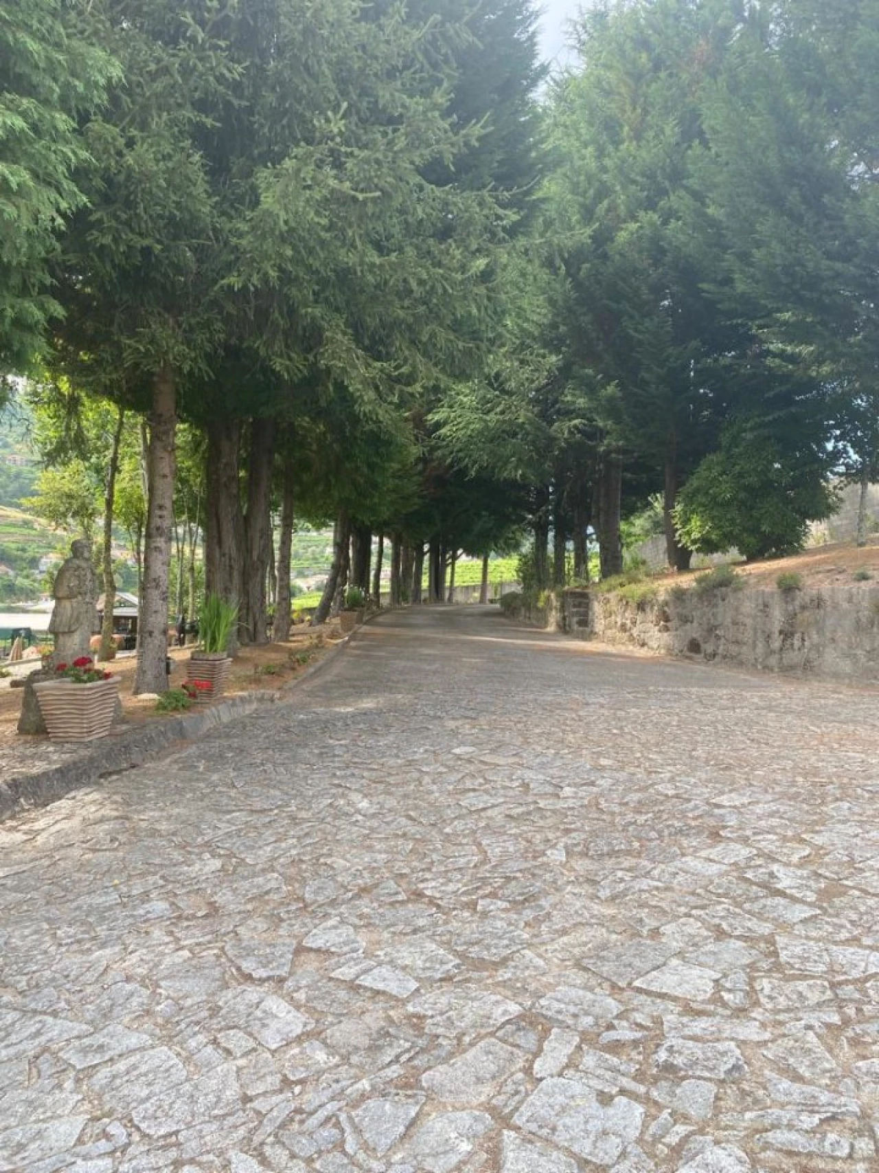 Quinta para Venda em Santa Marinha do Zezere Foto 8