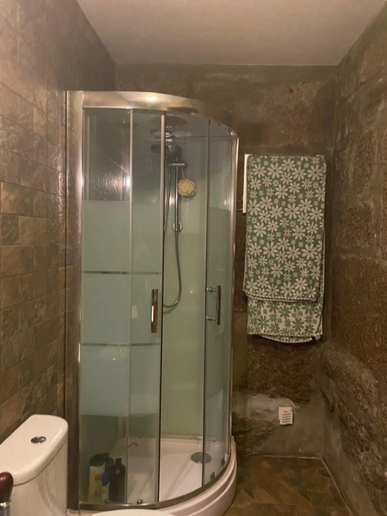 Quinta para Venda em Santa Marinha do Zezere Foto 43