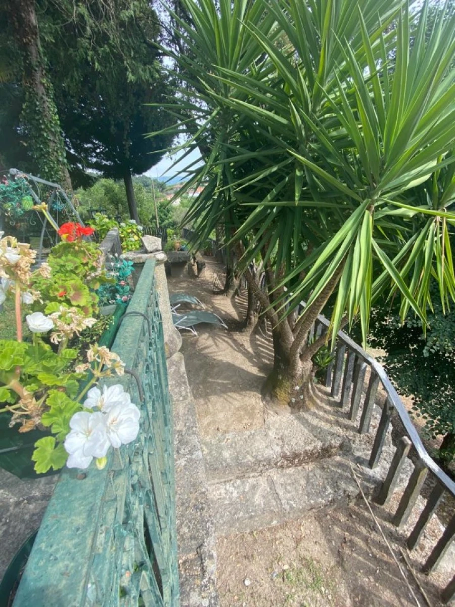 Quinta para Venda em Santa Marinha do Zezere Foto 12