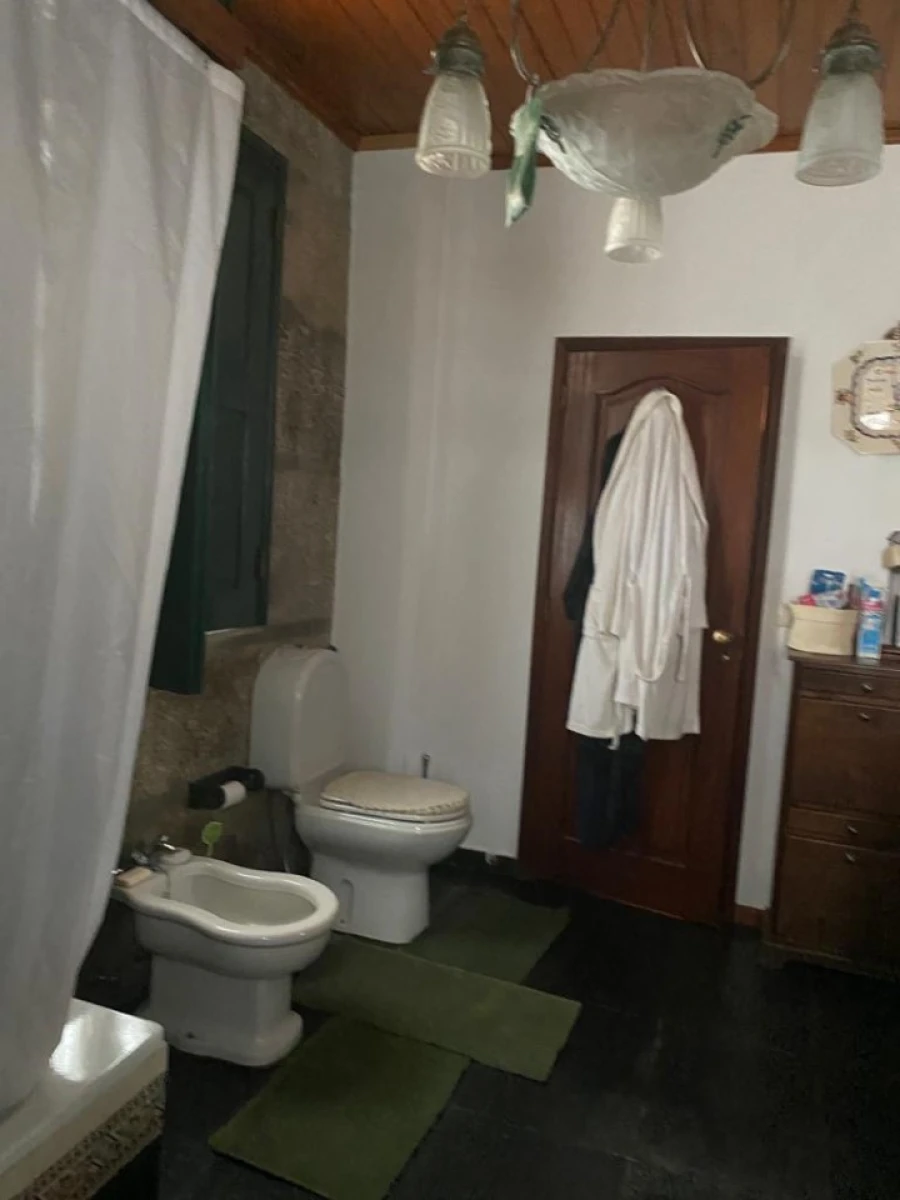 Quinta para Venda em Santa Marinha do Zezere Foto 39