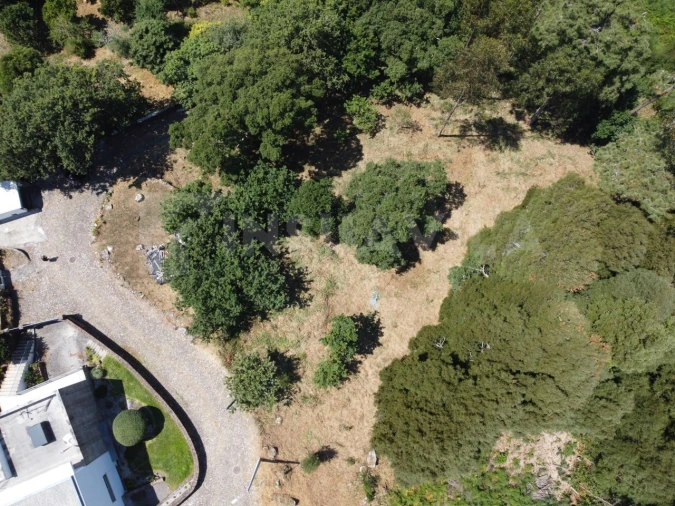 Terreno para Venda em Moledo e Cristelo Foto 3