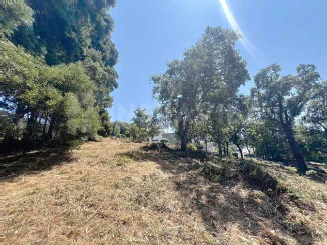 Terreno para Venda em Moledo e Cristelo Foto 4