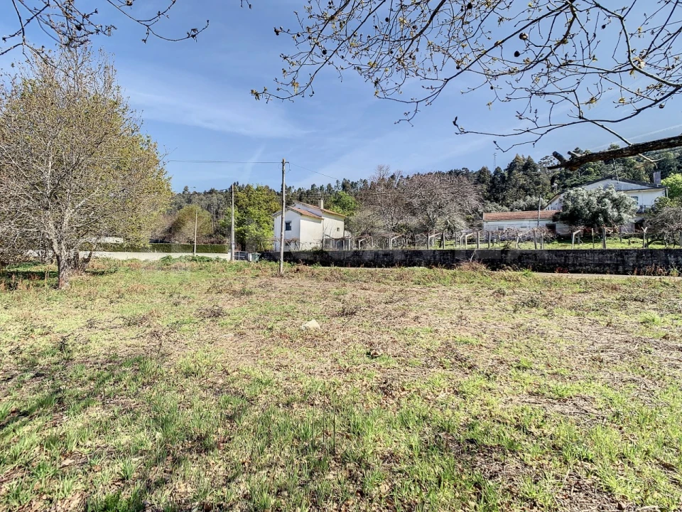 Terreno para Venda em Seixas Foto 18