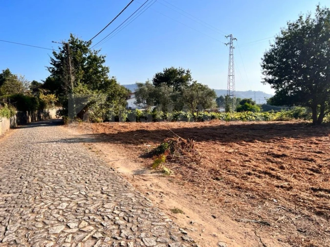 Terreno para Venda em Seixas Foto 12