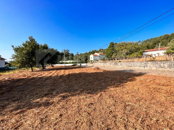 Terreno para Venda em Seixas Foto 14