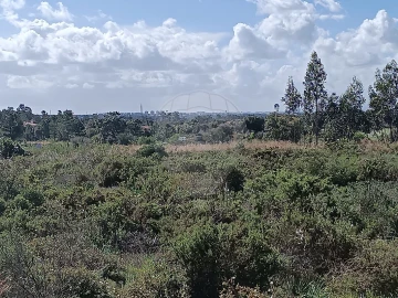 Terreno para Venda em Quinta do Anjo