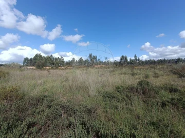 Terreno para Venda em Quinta do Anjo