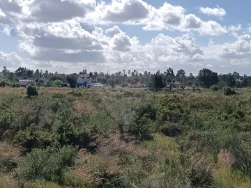 Terreno para Venda em Quinta do Anjo