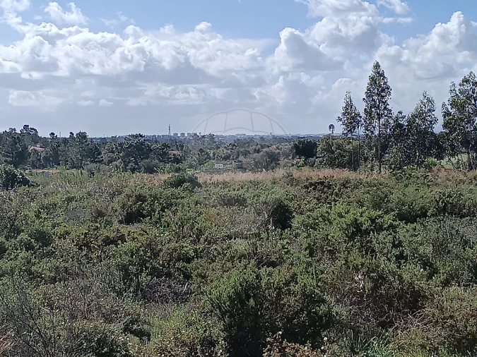 Terreno para Venda em Quinta do Anjo Foto 3
