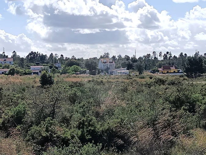 Terreno para Venda em Quinta do Anjo Foto 2