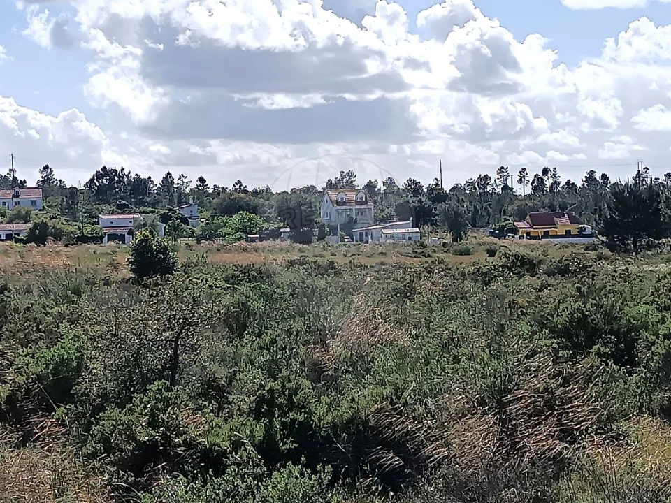 Terreno para Venda em Quinta do Anjo Foto 2