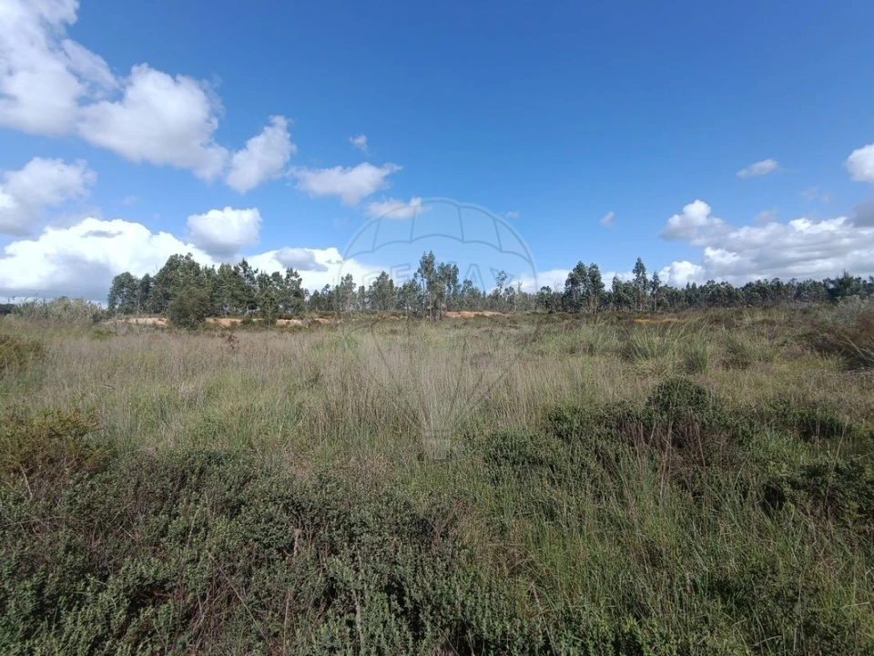 Terreno para Venda em Quinta do Anjo Foto 1