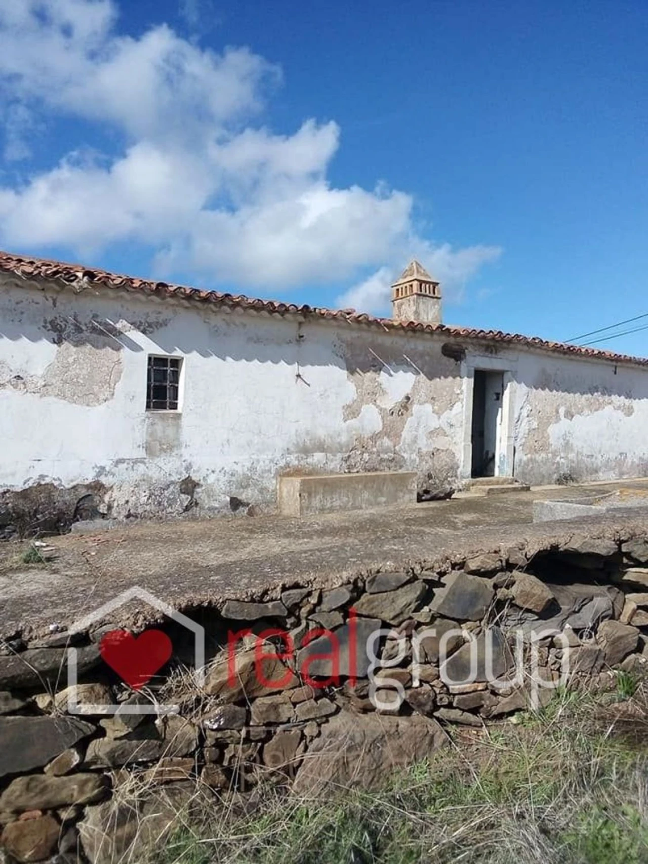 Terreno Agricola ou Rústico para Venda em Almodôvar e Graça dos Padrões Foto 10