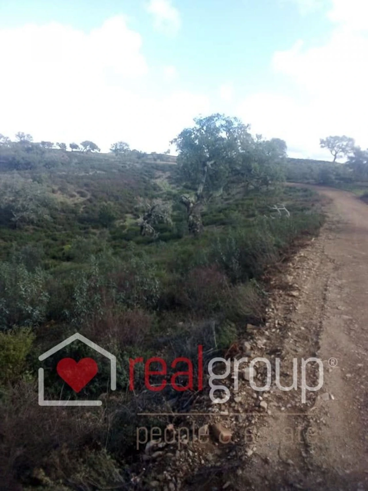 Terreno Agricola ou Rústico para Venda em Almodôvar e Graça dos Padrões Foto 13