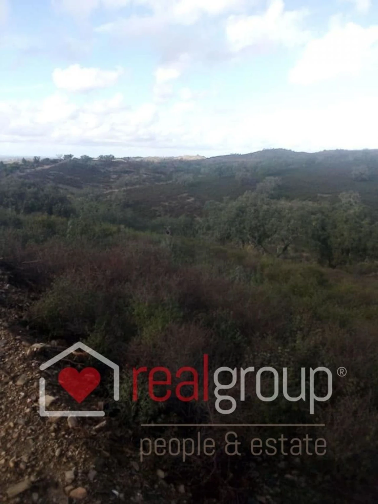 Terreno Agricola ou Rústico para Venda em Almodôvar e Graça dos Padrões Foto 14