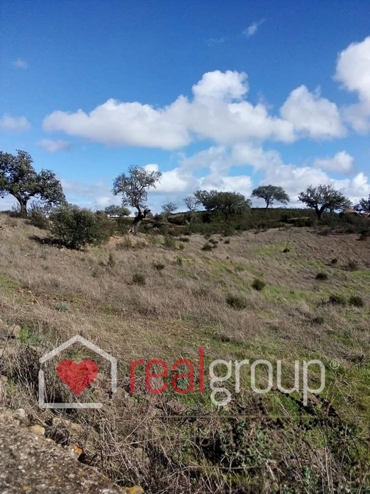 Terreno Agricola ou Rústico para Venda em Almodôvar e Graça dos Padrões Foto 15
