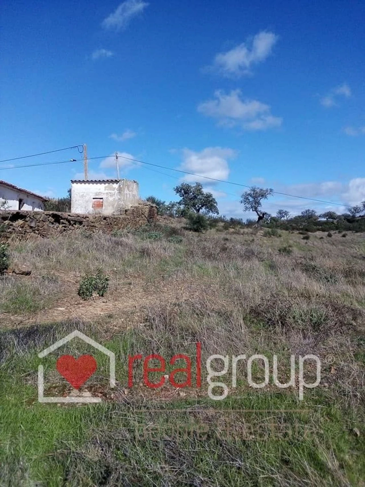 Terreno Agricola ou Rústico para Venda em Almodôvar e Graça dos Padrões Foto 21