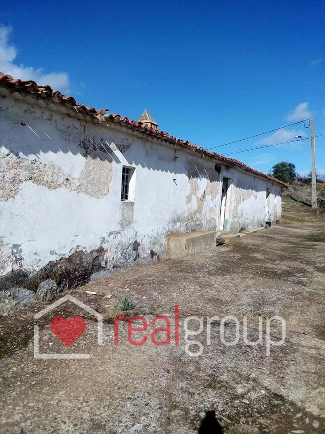 Terreno Agricola ou Rústico para Venda em Almodôvar e Graça dos Padrões Foto 39