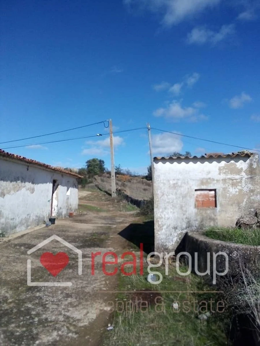Terreno Agricola ou Rústico para Venda em Almodôvar e Graça dos Padrões Foto 22
