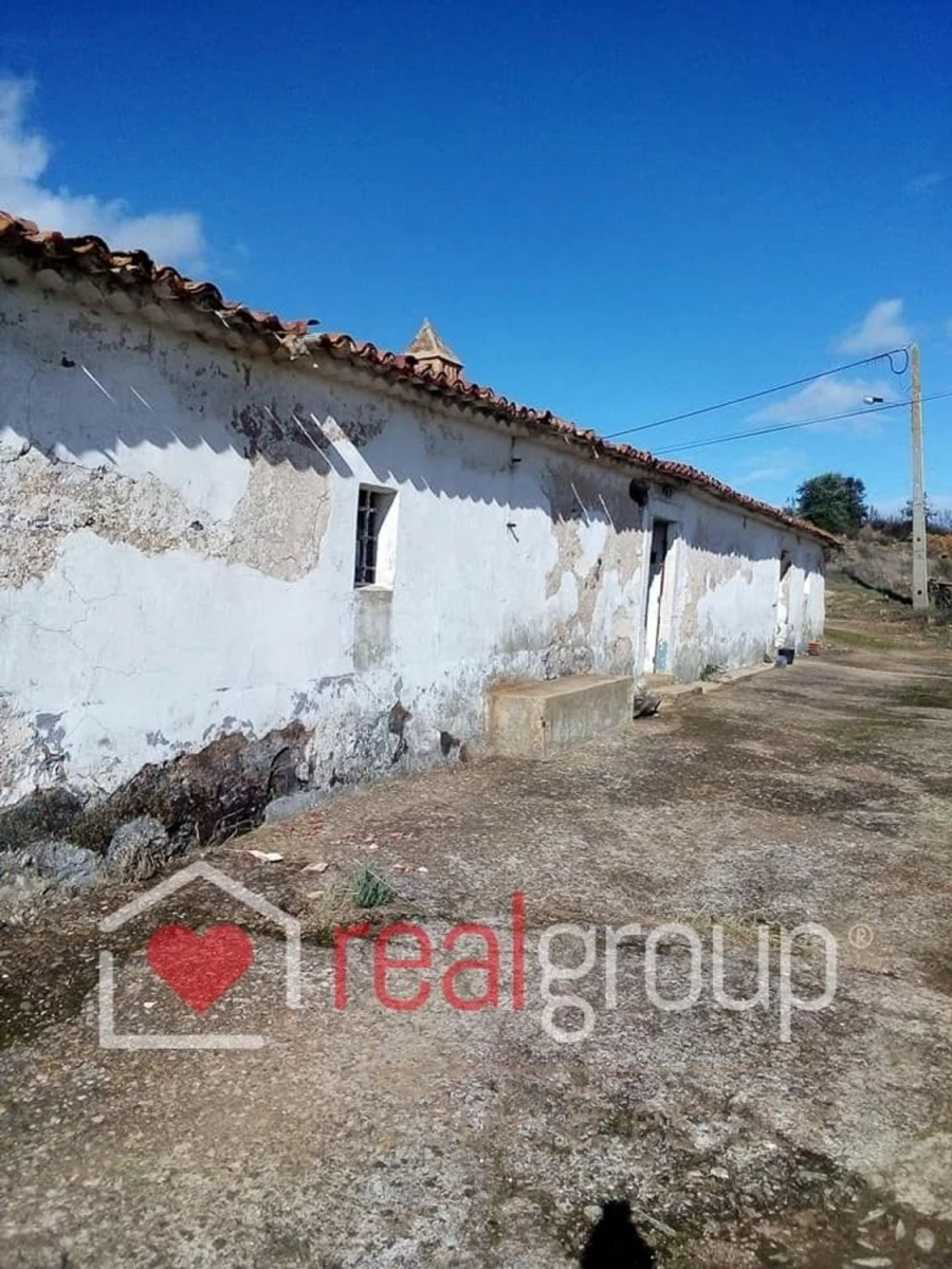 Terreno Agricola ou Rústico para Venda em Almodôvar e Graça dos Padrões Foto 24