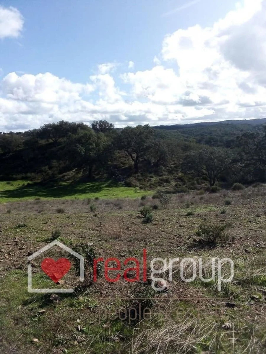 Terreno Agricola ou Rústico para Venda em Almodôvar e Graça dos Padrões Foto 35
