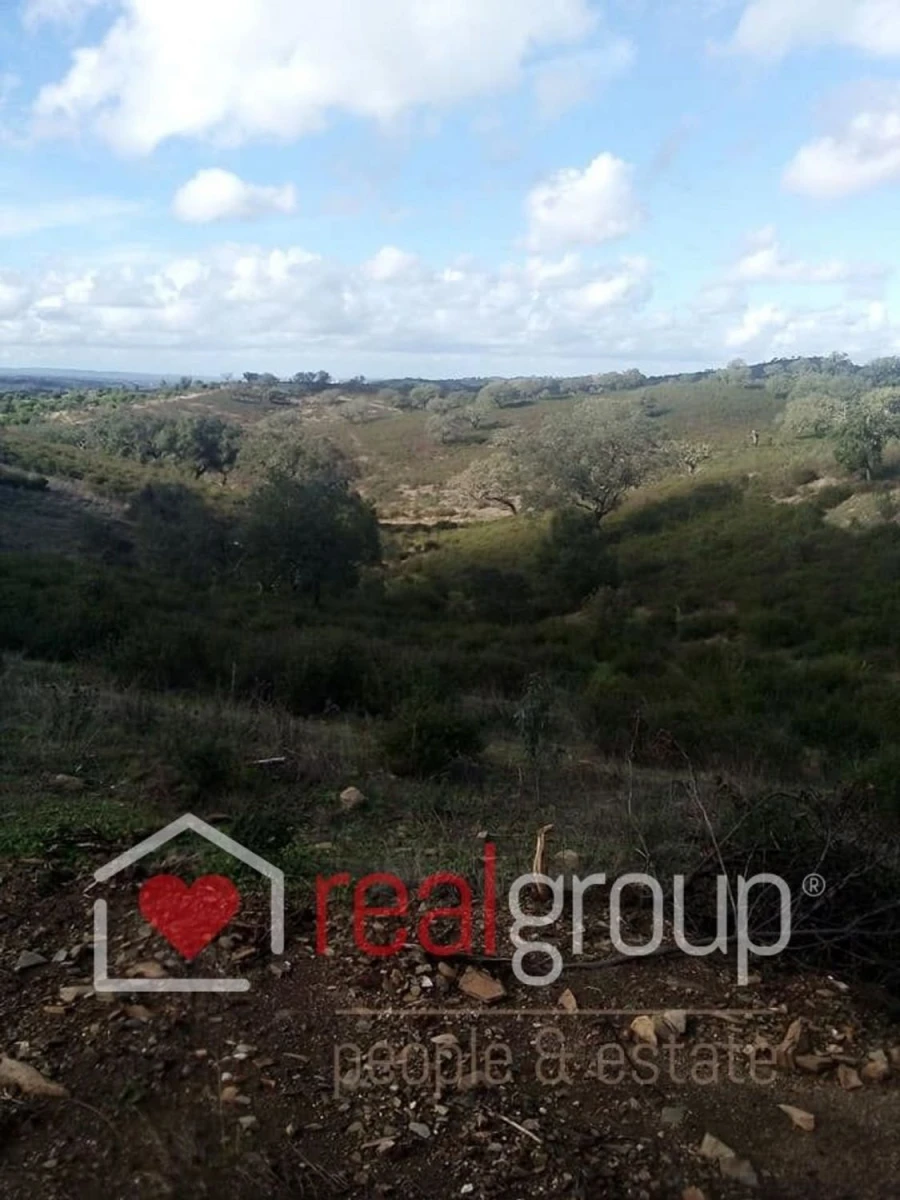 Terreno Agricola ou Rústico para Venda em Almodôvar e Graça dos Padrões Foto 42