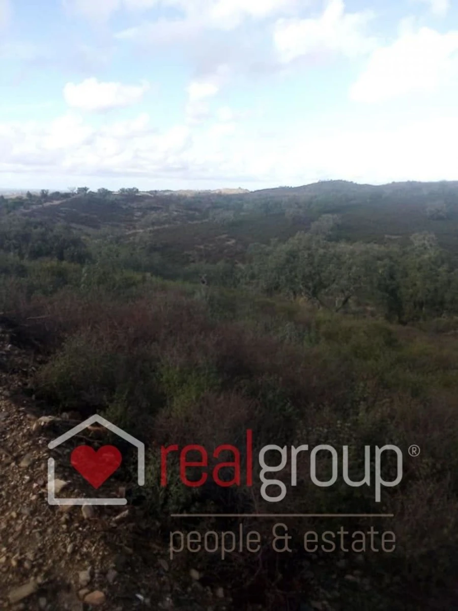 Terreno Agricola ou Rústico para Venda em Almodôvar e Graça dos Padrões Foto 44