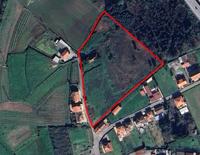 Terreno para Venda em Campo e Sobrado Foto 1