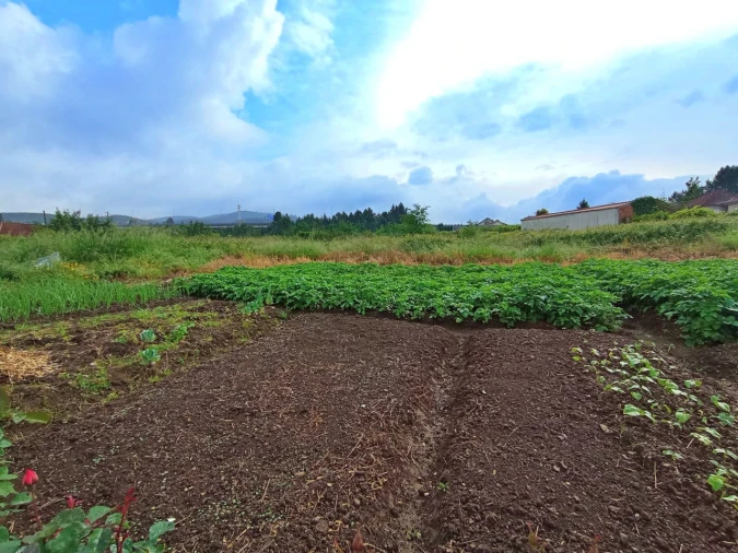 Terreno para Venda em Campo e Sobrado Foto 4