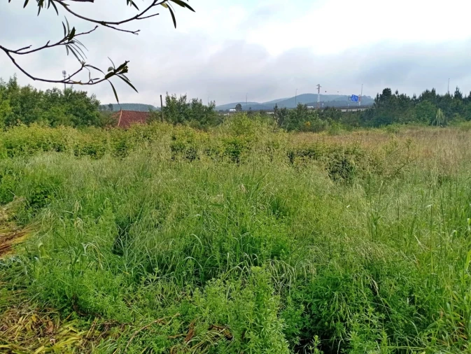 Terreno para Venda em Campo e Sobrado Foto 7