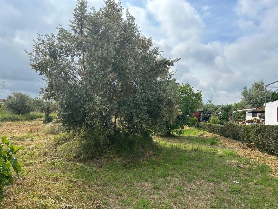 Terreno para Venda em Pego Foto 5