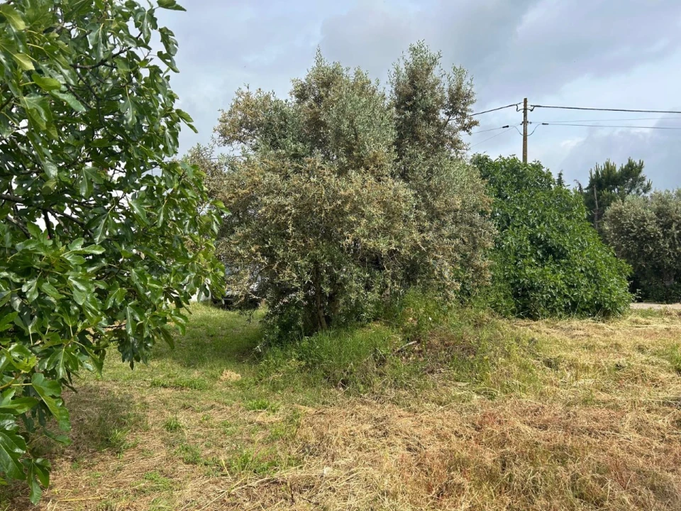 Terreno para Venda em Pego Foto 7