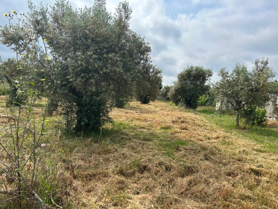 Terreno para Venda em Pego Foto 10