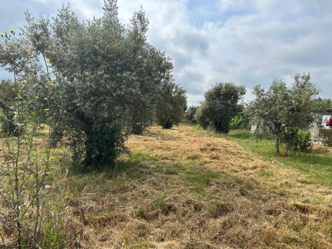 Terreno para Venda em Pego Foto 1