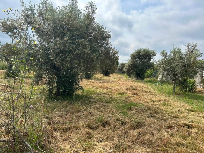 Terreno para Venda em Pego Foto 10