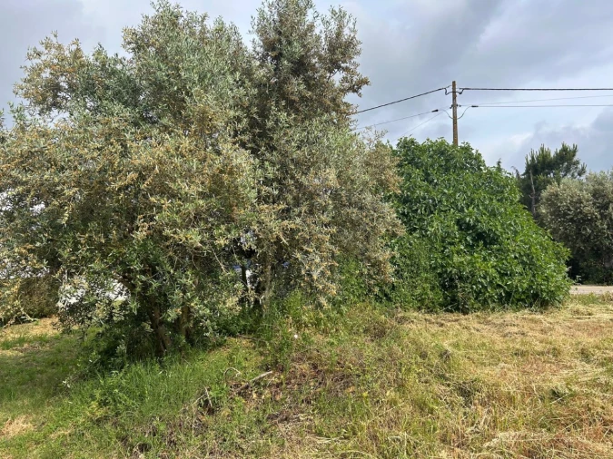 Terreno para Venda em Pego Foto 11