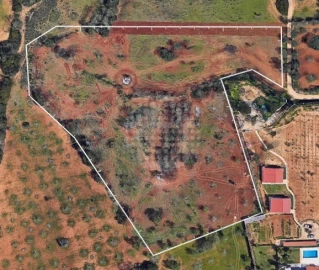 Terreno Agricola ou Rústico para Venda em Guia