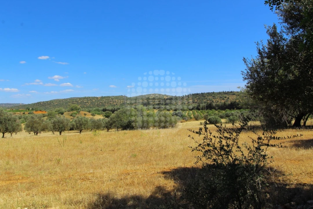 Quinta para Venda em Paderne Foto 19