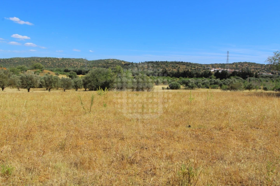 Quinta para Venda em Paderne Foto 20