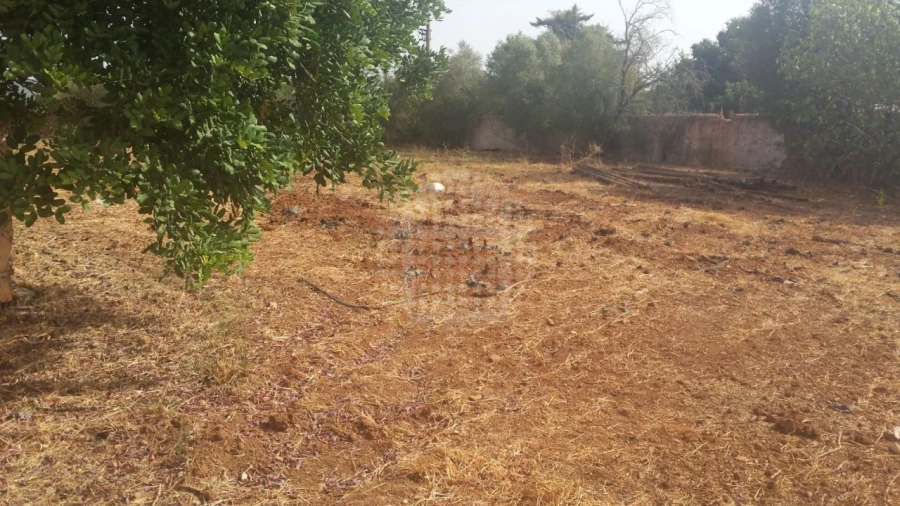 Quinta para Venda em Paderne Foto 31