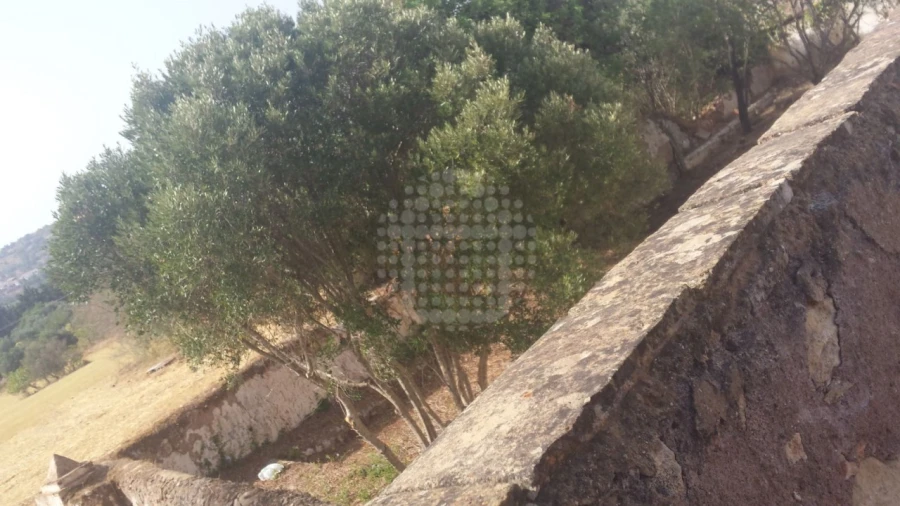 Quinta para Venda em Paderne Foto 37