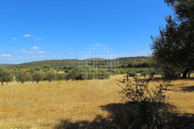 Quinta para Venda em Paderne Foto 19