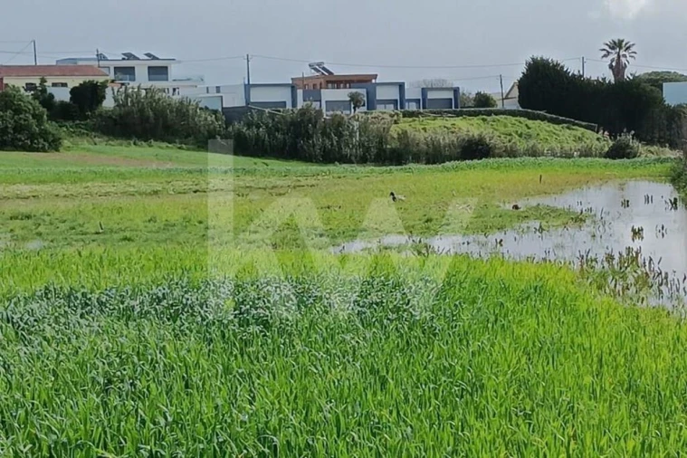 Quinta T4 para Venda em Santo Isidoro Foto 32