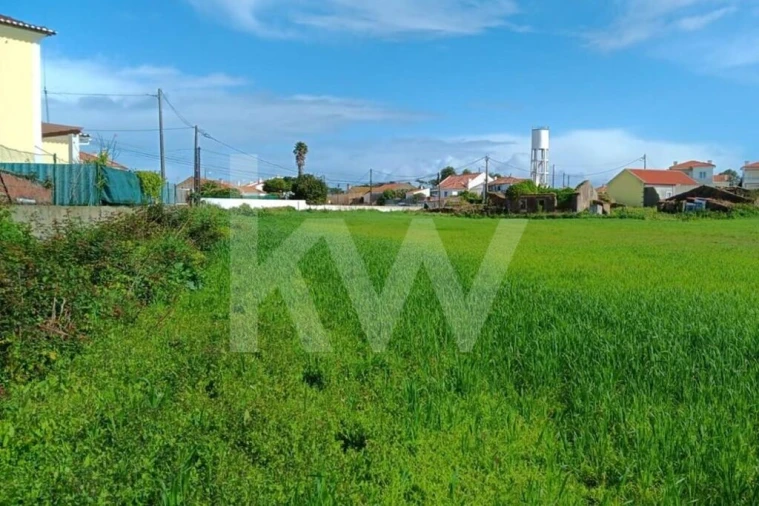 Quinta T4 para Venda em Santo Isidoro Foto 39