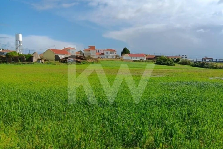 Quinta T4 para Venda em Santo Isidoro Foto 42