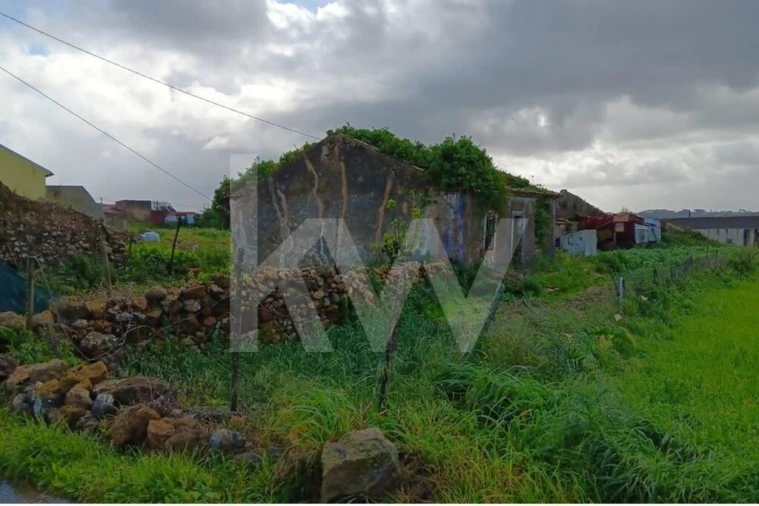 Quinta T4 para Venda em Santo Isidoro Foto 9