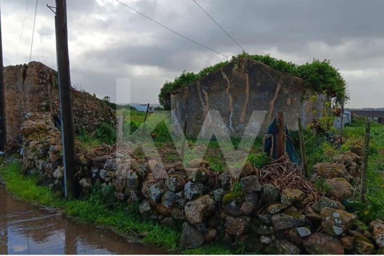 Quinta T4 para Venda em Santo Isidoro Foto 11