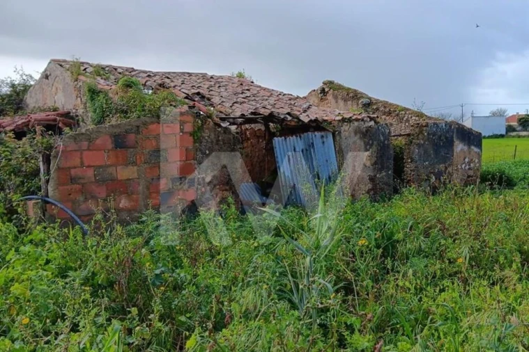 Quinta T4 para Venda em Santo Isidoro Foto 21